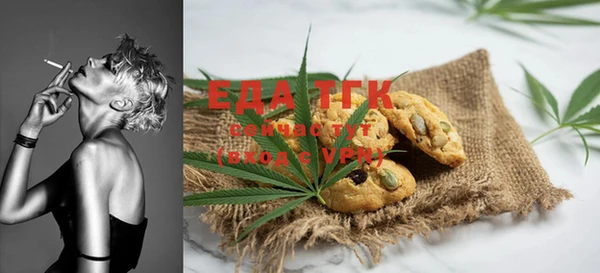 индика Осташков