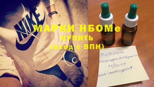 индика Осташков