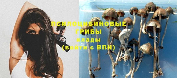 прущий лед Белоозёрский