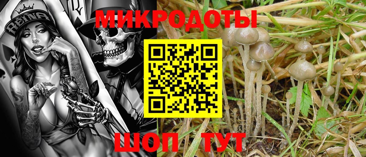 Реутов  Галлюциногенные грибы мицелий  Вход с VPN 