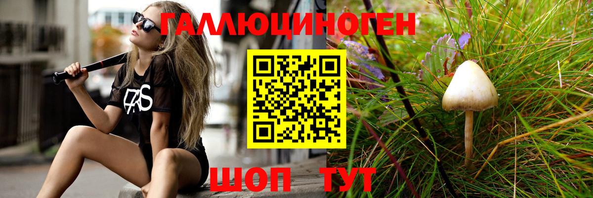 Псилоцибиновые грибы мухоморы Реутов