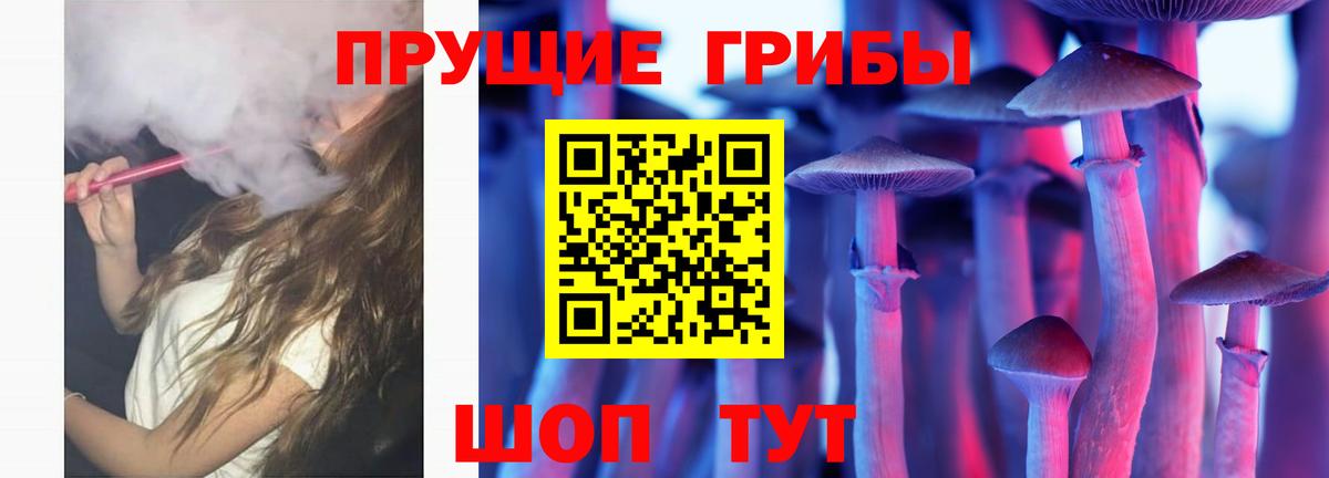 Галлюциногенные грибы Реутов